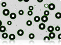 Cellometer Vision CBA - Bright Field Counted Image of Adipocytes