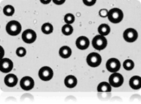 Cellometer Vision CBA - Bright Field Image of Adipocytes
