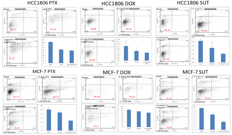 Figure 1. The effect of IONP-LPrA2 in combination with chemotherapeutics on the survival of breast cancer cells HCC1806 and MCF-7