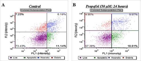 Figure 1. Effects of propofol on neural stem cell health. Scatter plots demonstrate the percentage of live cells (purple), apoptotic cells (Annexin V positive; green), and necrotic cells (PI positive; blue) for control (A) and 50 μM propofol treated (B) cultures.