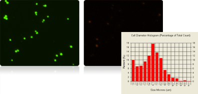 Yeast Viability by dual-fluorescence using Cellometer X2