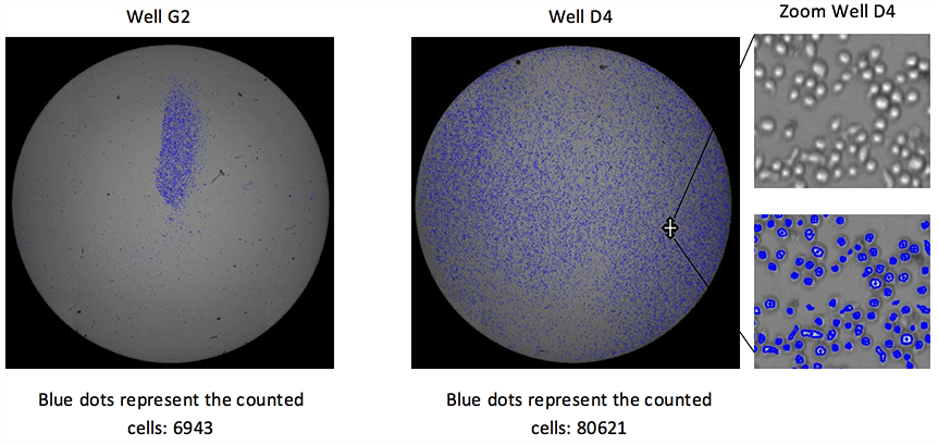 Whole-Well Imaging for Counting of Non-Uniform Cell Populations