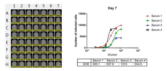 Whole plate image and antibody neutralization dose response curves of 4 sera