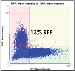 GFP vs. RFP Scatter Plot