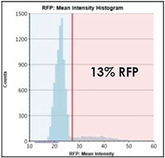 RFP Intensity Histogram
