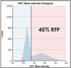 RFP Intensity Histogram 45%