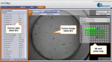 Celigo software imaging and quantification of tumorsphere