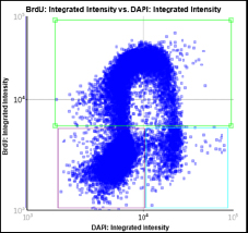 BrdU: Integrated Intensity vs DAPI Integrated Intensity