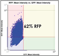 GFP vs. RFP Scatter Plot
