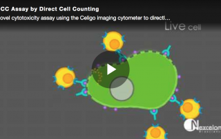 adcc assay by direct cell counting