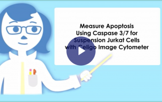 Celigo apoptosis suspension
