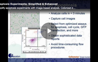 apoptosis experiments with image-based analysis
