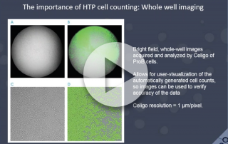 direct high-throughput cell counting in immuno-oncology