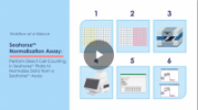 Seahorse™ Normalization Assay at a Glance
