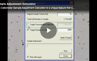 sample adjustment calculator
