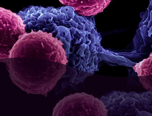 Webinar on Demand: Advanced In-vitro Cancer Models to Study Tumor Microenvironment