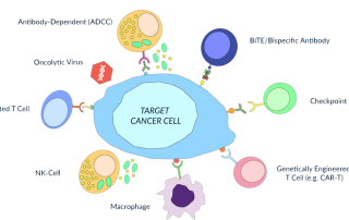 target cancer cell illustration