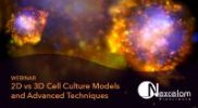 Webinar on Demand: 2D vs 3D Cell Culture Models and Advanced Techniques