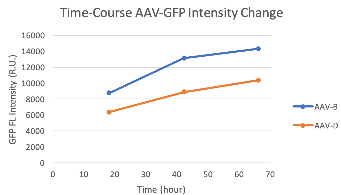 time-course plot of GFP fluorescent intensities 