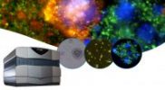 Demo on Demand: Modern Cell-based Assays for Cell and Gene Therapy Using Image Cytometry