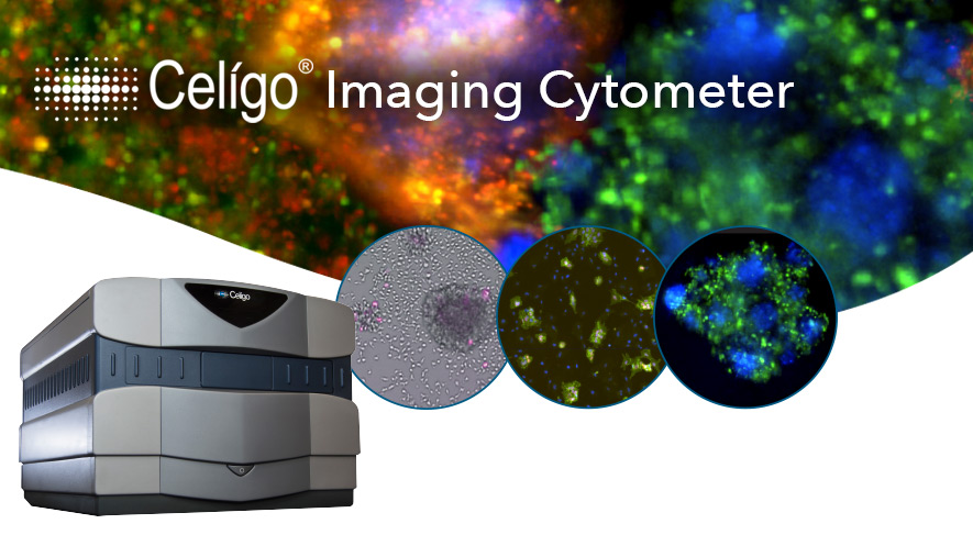 Celigo imaging cytometer