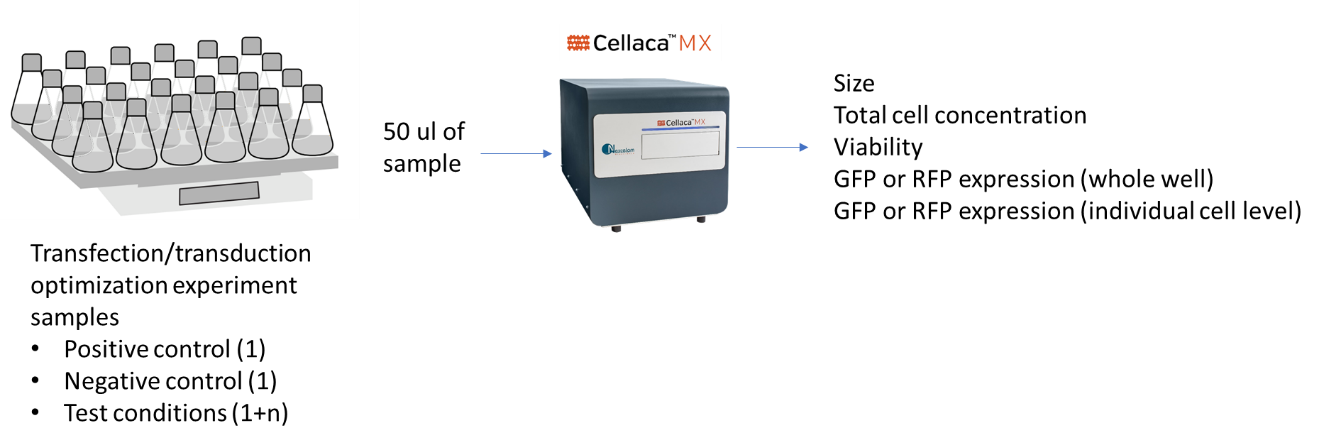 cell counting workflow for bioprocessing