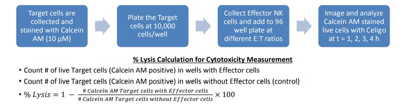 calculation for cytotoxicity measurement