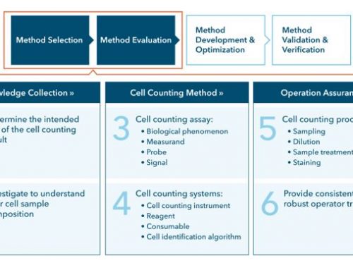 Cell counting: A practical guide to evaluating cell counting methods