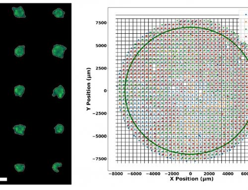 Designing high-content tumor spheroid drug screening using high-throughput image cytometry