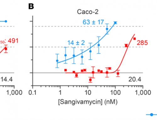 Sangivamycin is highly effective against SARS-CoV-2 in vitro and has favorable drug properties