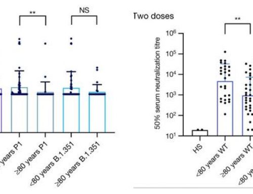 Age-Related Immune Response Heterogeneity to SARS-CoV-2 Vaccine BNT162b2